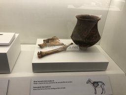 Tumba de la Almoloya 2022